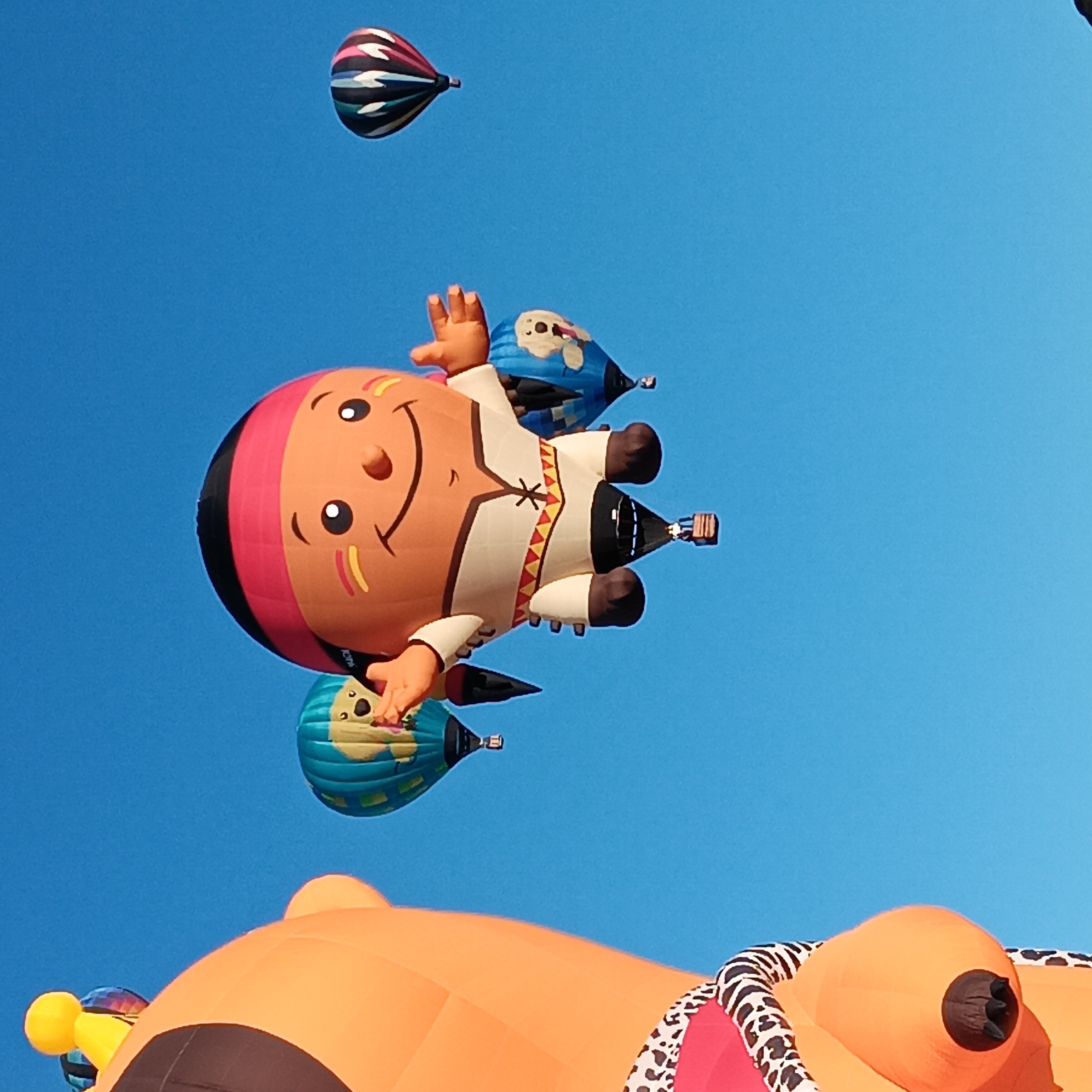 Picture of Hot Air Balloons